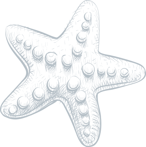 starfish illus